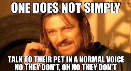 One-does-not-simply-talk-to-their-pet-in-a-normal-voice